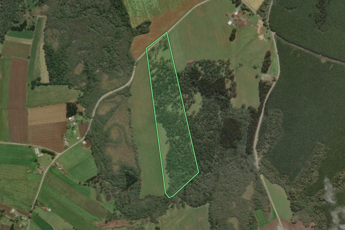 Imagem de satélite do imóvel rural em Bela Vista do Toldo (SC), com o contorno declarado no CAR desenhado por cima.
