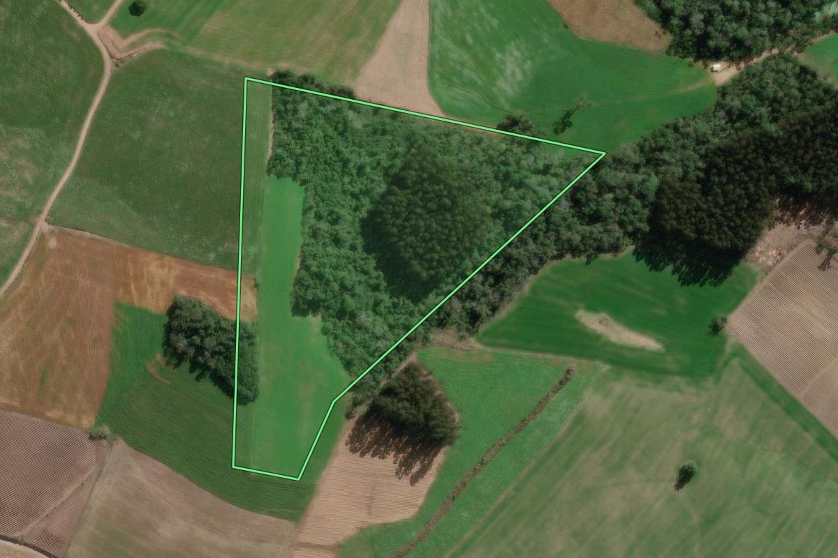 Imagem de satélite do imóvel rural em Bela Vista do Toldo (SC), com o contorno declarado no CAR desenhado por cima.