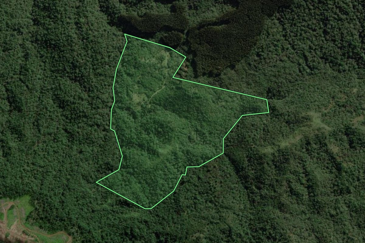 Imagem de satélite do imóvel rural em Bela Vista do Toldo (SC), com o contorno declarado no CAR desenhado por cima.
