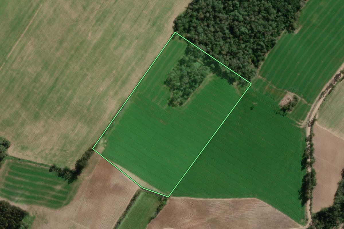 Imagem de satélite do imóvel rural em Bela Vista do Toldo (SC), com o contorno declarado no CAR desenhado por cima.