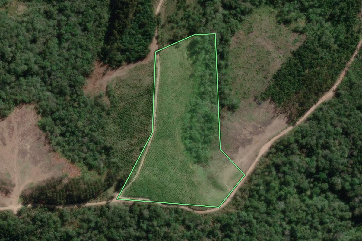 Imagem de satélite do imóvel rural em Bela Vista do Toldo (SC), com o contorno declarado no CAR desenhado por cima.