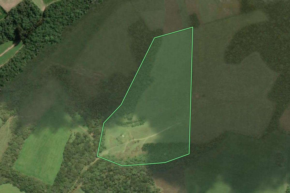 Imagem de satélite do imóvel rural em Bela Vista do Toldo (SC), com o contorno declarado no CAR desenhado por cima.