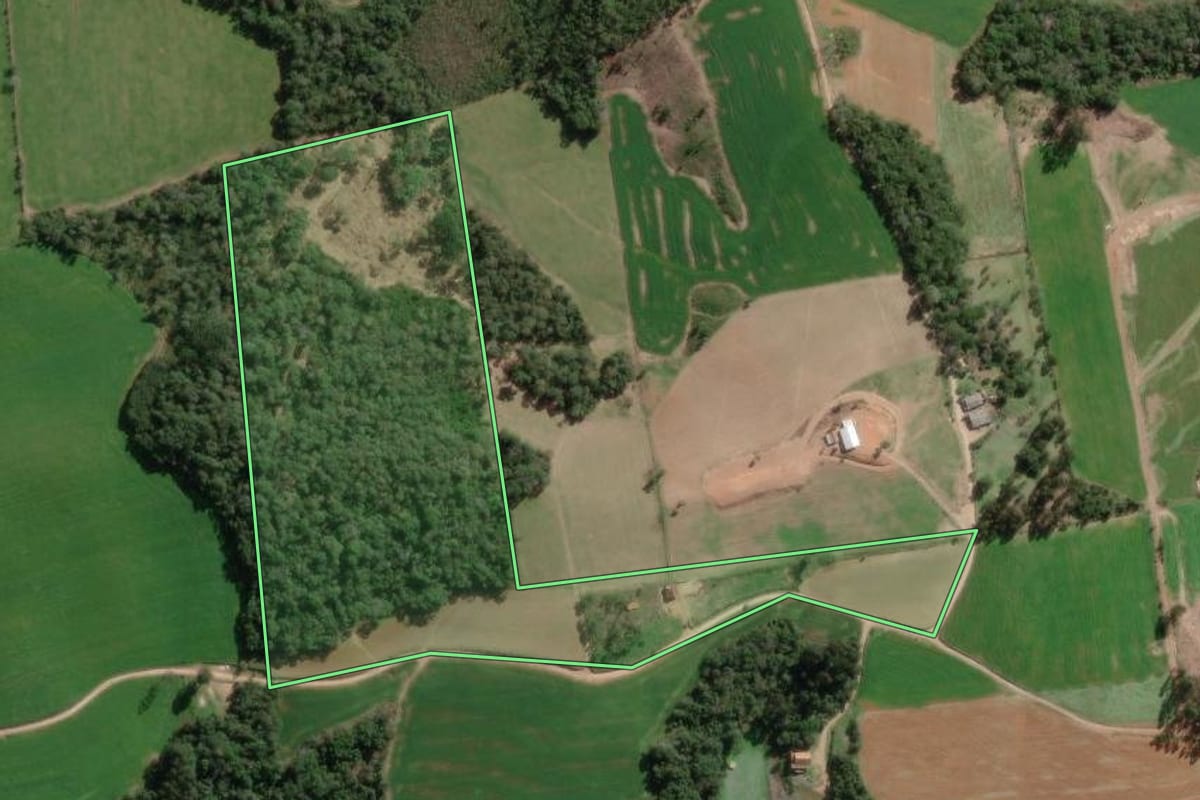 Imagem de satélite do imóvel rural em Bela Vista do Toldo (SC), com o contorno declarado no CAR desenhado por cima.