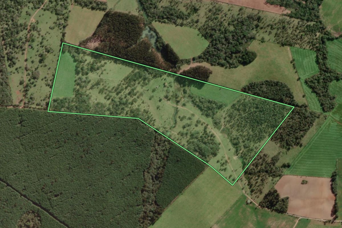 Imagem de satélite do imóvel rural em Bela Vista do Toldo (SC), com o contorno declarado no CAR desenhado por cima.