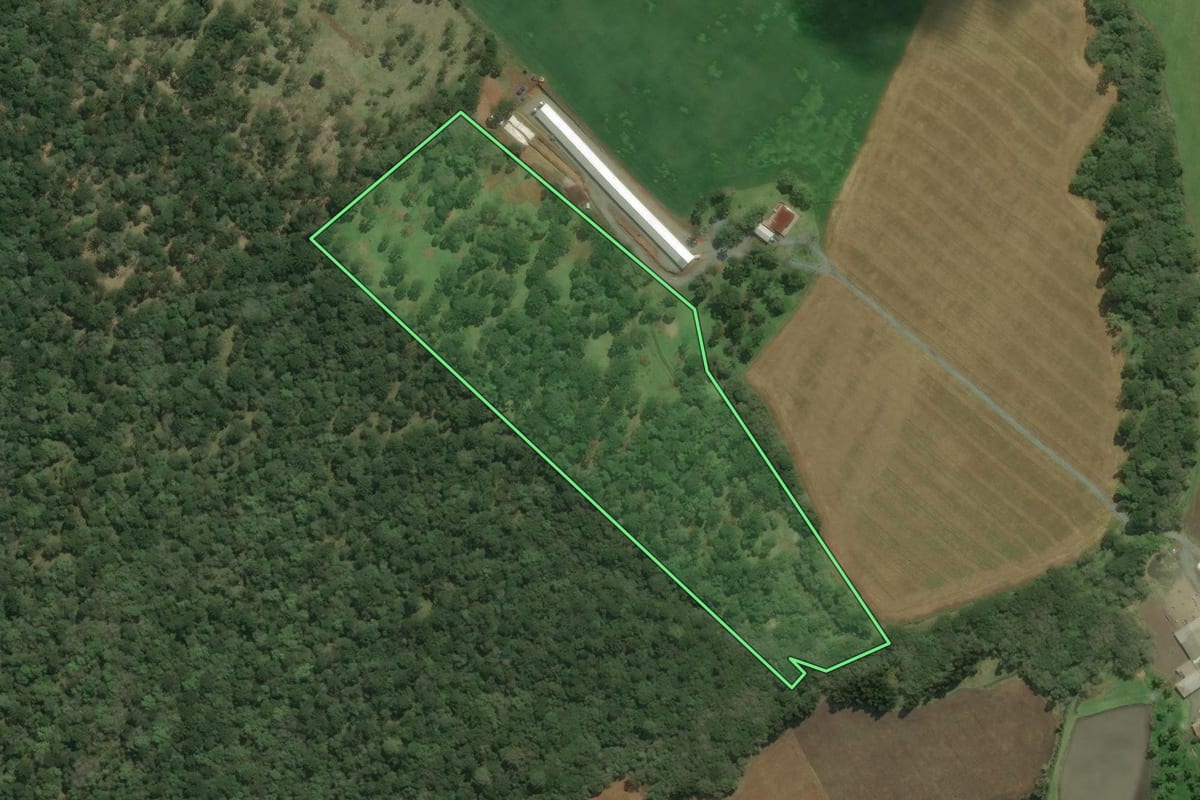 Imagem de satélite do imóvel rural em Bela Vista do Toldo (SC), com o contorno declarado no CAR desenhado por cima.