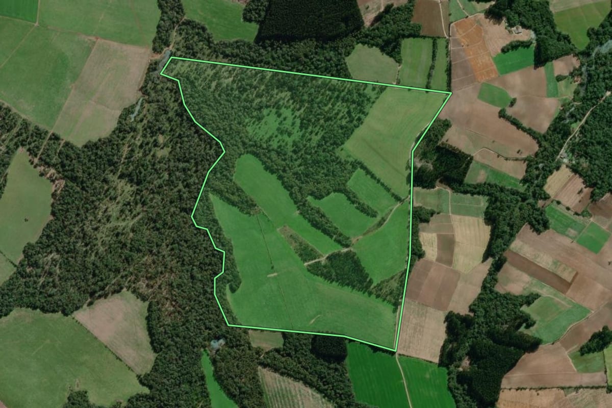Imagem de satélite do imóvel rural em Bela Vista do Toldo (SC), com o contorno declarado no CAR desenhado por cima.