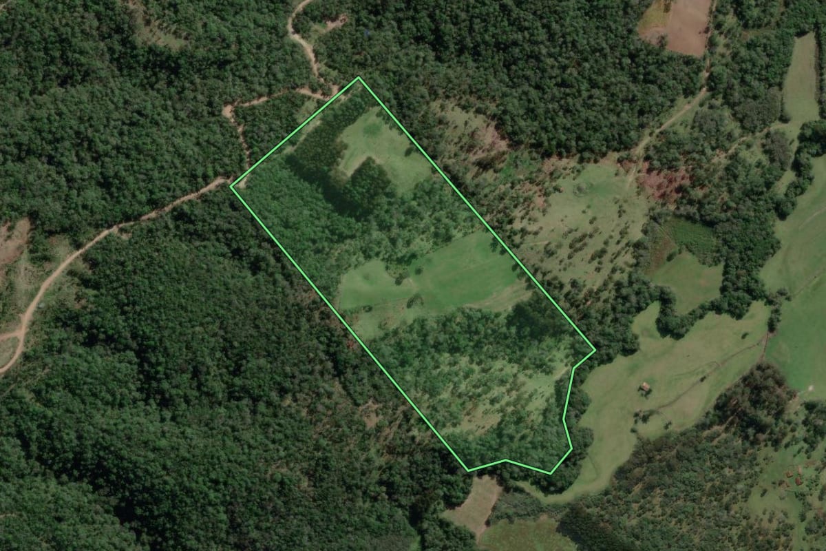 Imagem de satélite do imóvel rural em Bela Vista do Toldo (SC), com o contorno declarado no CAR desenhado por cima.