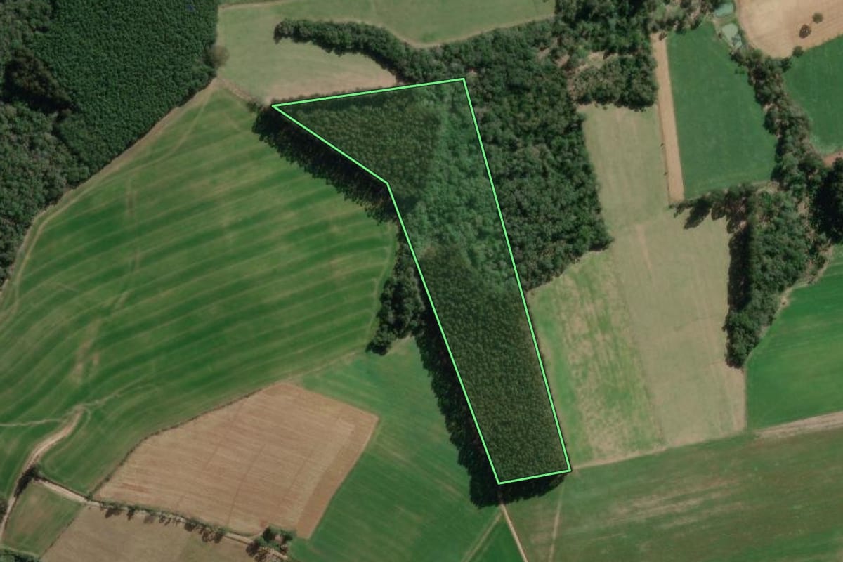 Imagem de satélite do imóvel rural em Bela Vista do Toldo (SC), com o contorno declarado no CAR desenhado por cima.
