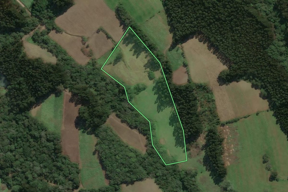 Imagem de satélite do imóvel rural em Bela Vista do Toldo (SC), com o contorno declarado no CAR desenhado por cima.