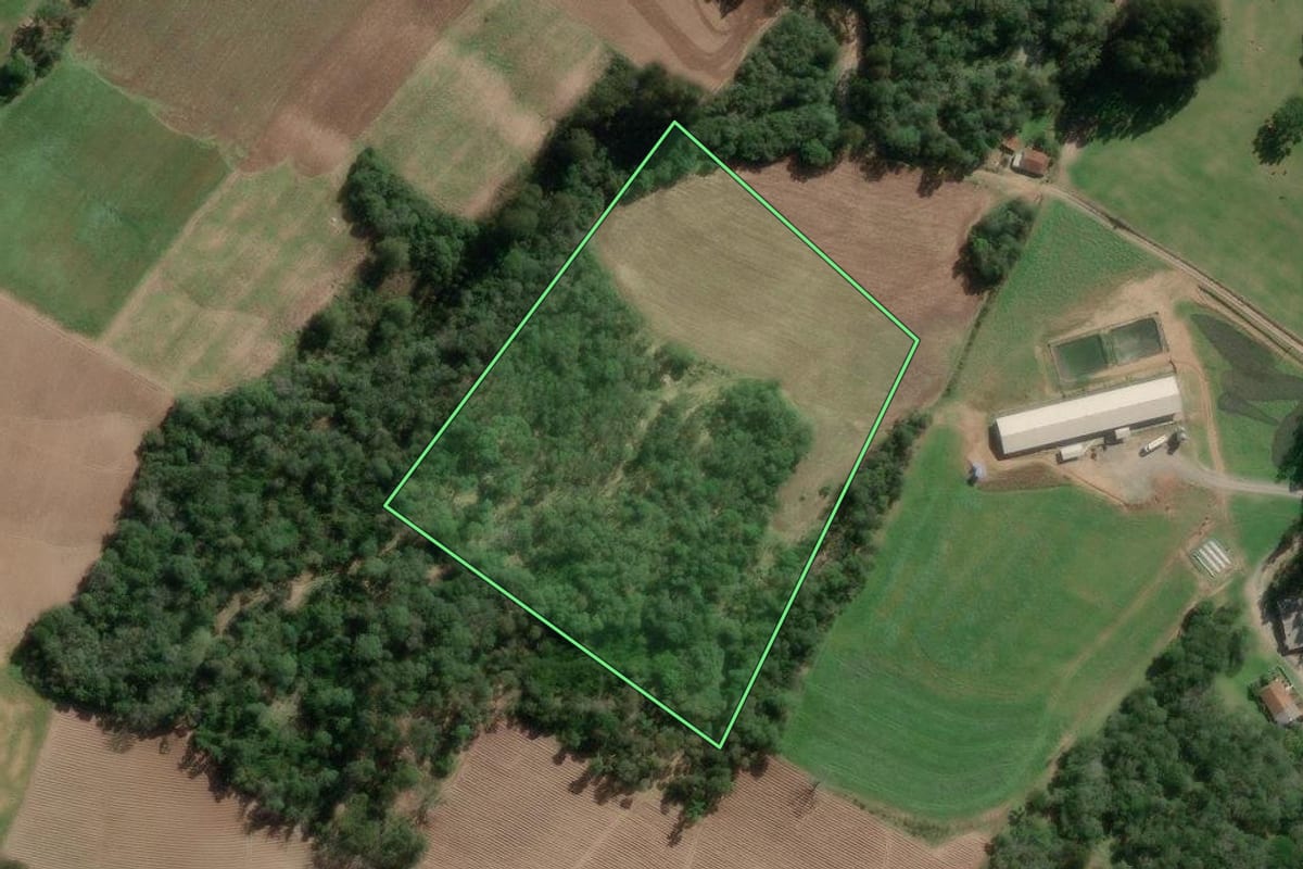 Imagem de satélite do imóvel rural em Bela Vista do Toldo (SC), com o contorno declarado no CAR desenhado por cima.
