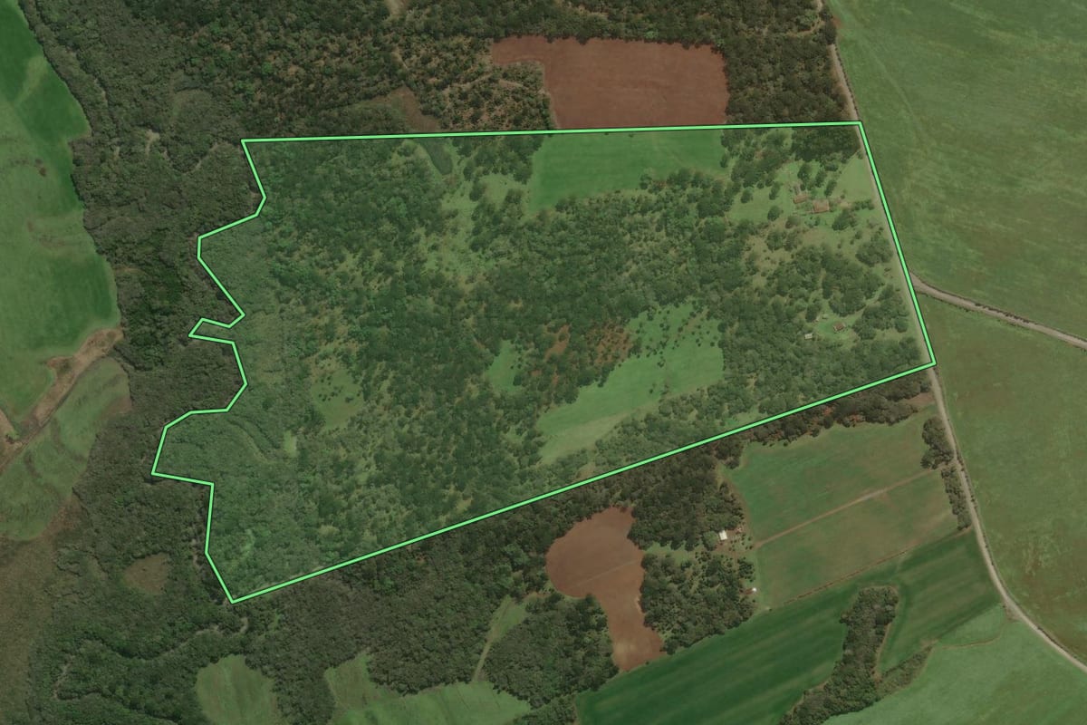 Imagem de satélite do imóvel rural em Bela Vista do Toldo (SC), com o contorno declarado no CAR desenhado por cima.