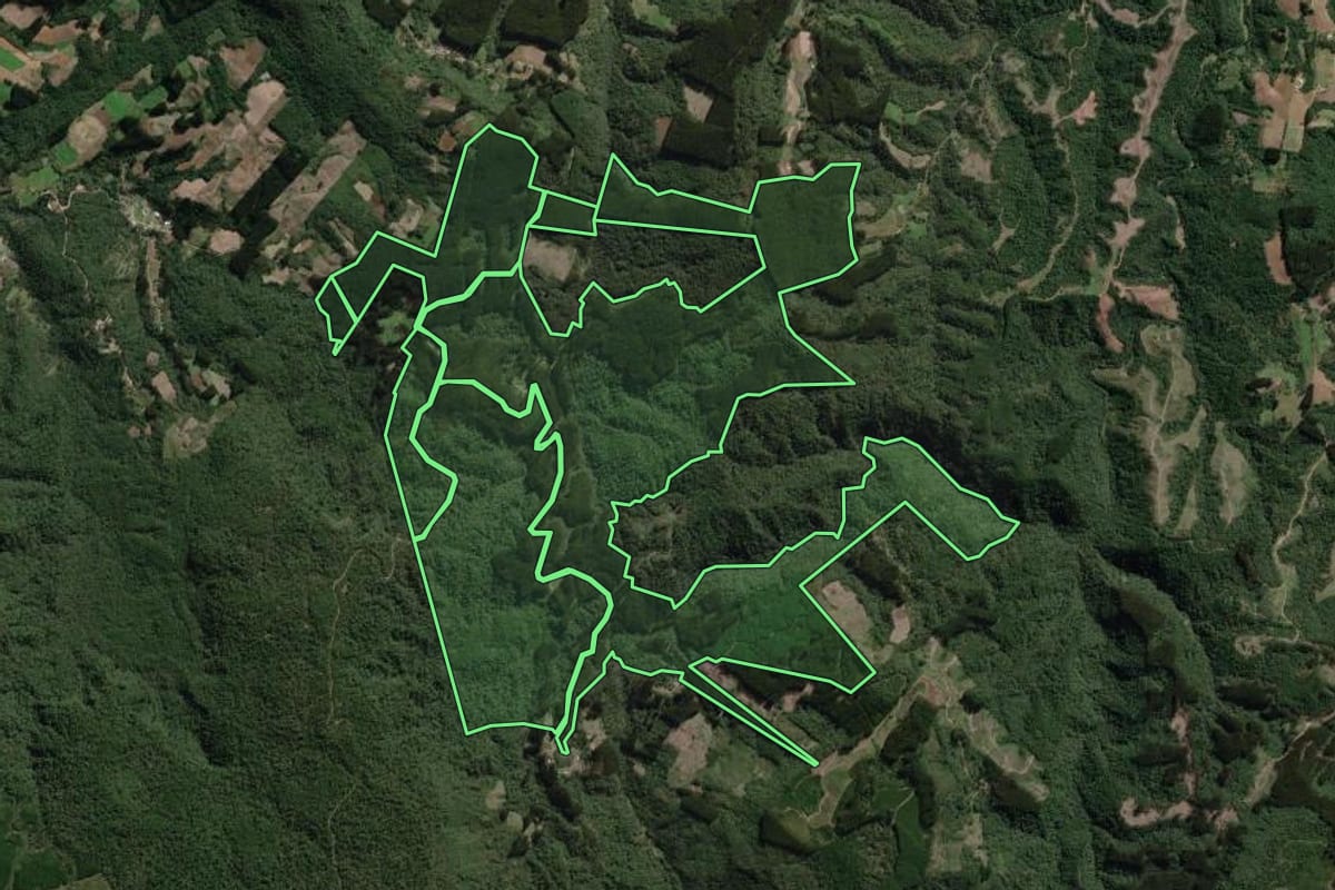 Imagem de satélite do imóvel rural em Bela Vista do Toldo (SC), com o contorno declarado no CAR desenhado por cima.