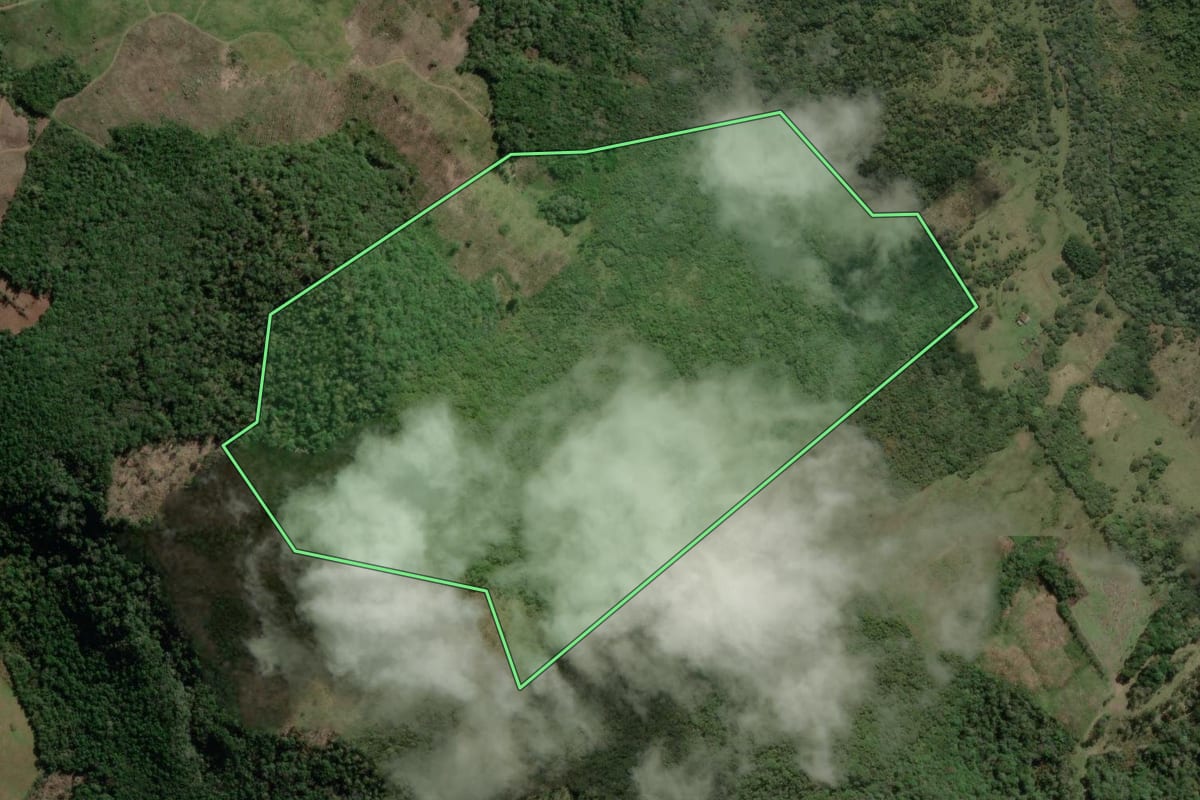 Imagem de satélite do imóvel rural em Bela Vista do Toldo (SC), com o contorno declarado no CAR desenhado por cima.