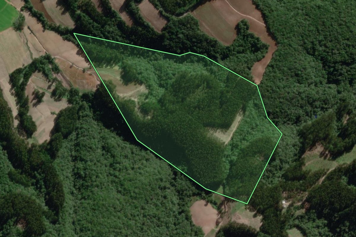 Imagem de satélite do imóvel rural em Bela Vista do Toldo (SC), com o contorno declarado no CAR desenhado por cima.