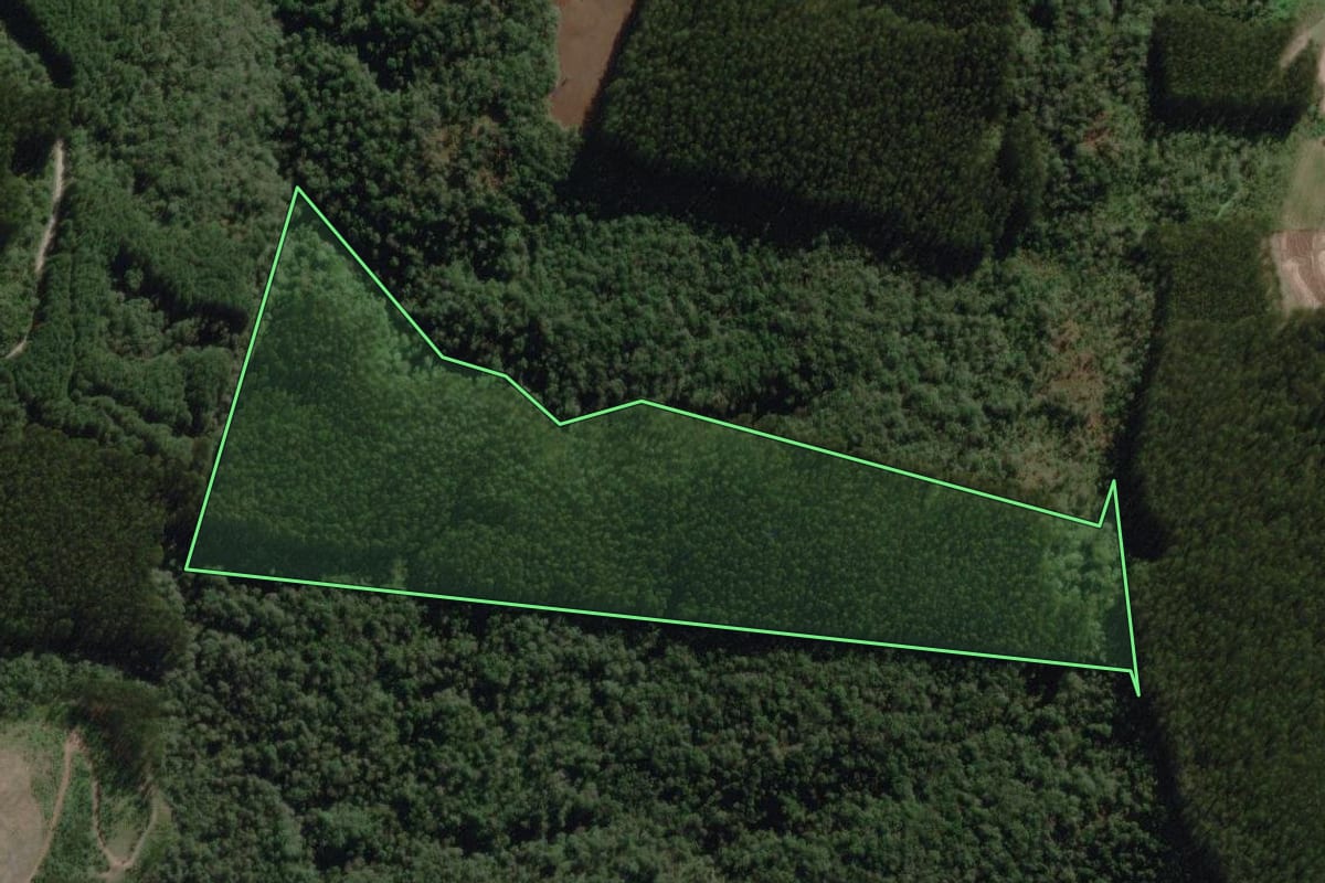 Imagem de satélite do imóvel rural em Bela Vista do Toldo (SC), com o contorno declarado no CAR desenhado por cima.