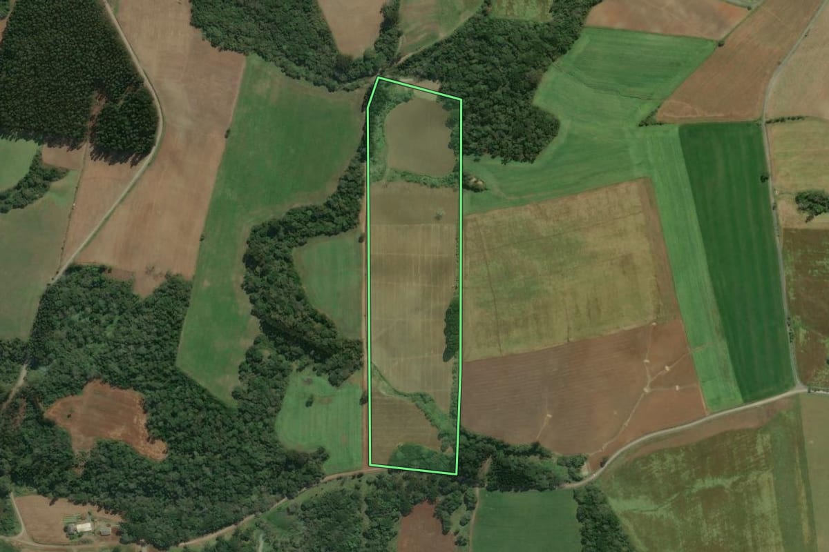 Imagem de satélite do imóvel rural em Bela Vista do Toldo (SC), com o contorno declarado no CAR desenhado por cima.