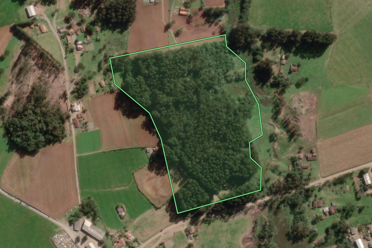 Imagem de satélite do imóvel rural em Bela Vista do Toldo (SC), com o contorno declarado no CAR desenhado por cima.