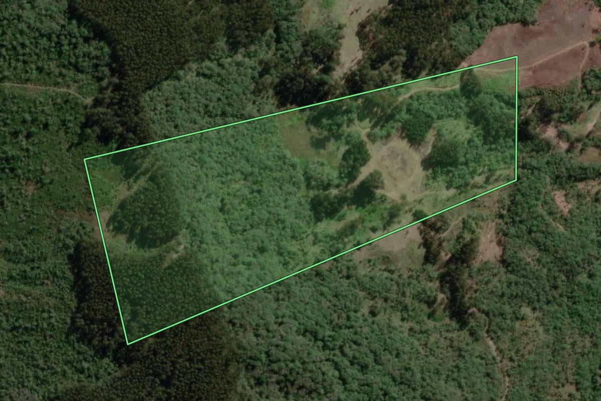 Imagem de satélite do imóvel rural em Bela Vista do Toldo (SC), com o contorno declarado no CAR desenhado por cima.