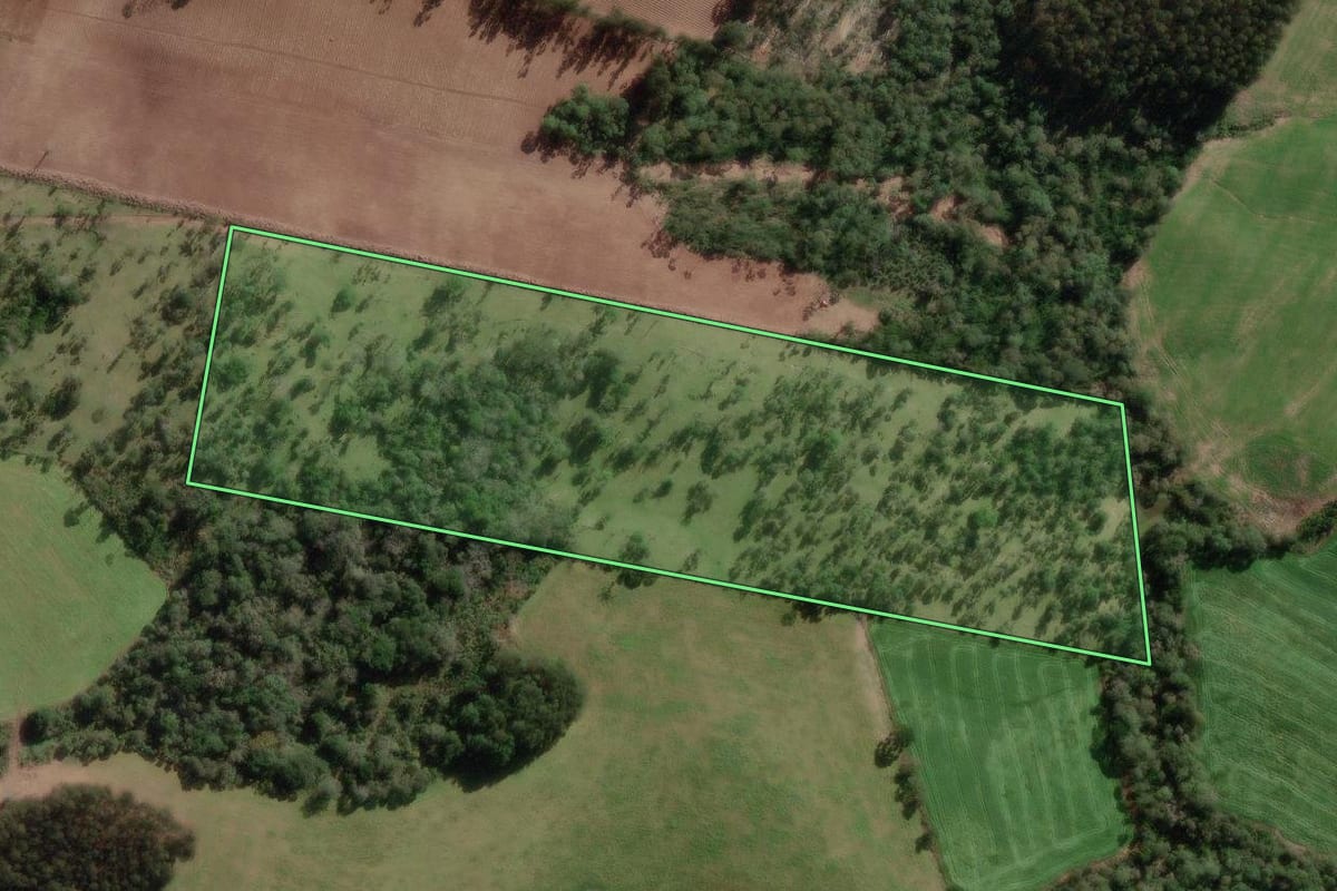 Imagem de satélite do imóvel rural em Bela Vista do Toldo (SC), com o contorno declarado no CAR desenhado por cima.