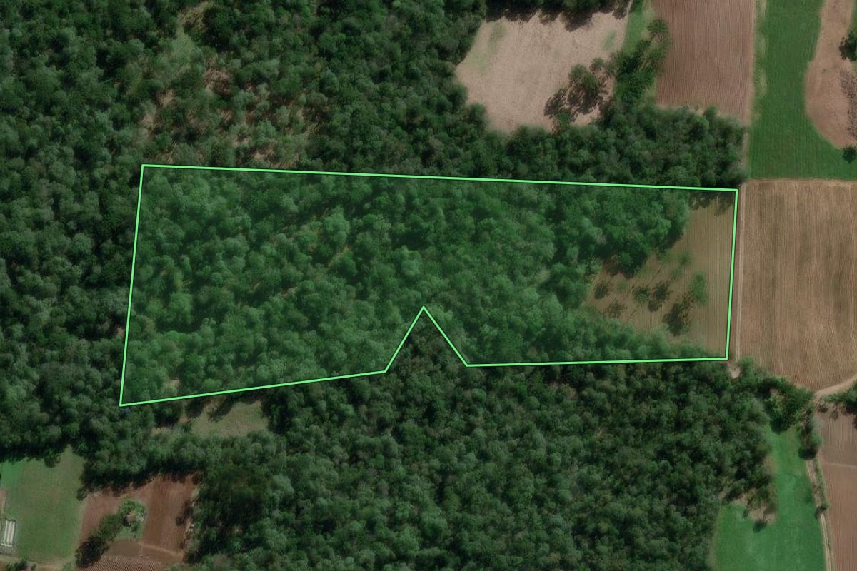 Imagem de satélite do imóvel rural em Bela Vista do Toldo (SC), com o contorno declarado no CAR desenhado por cima.