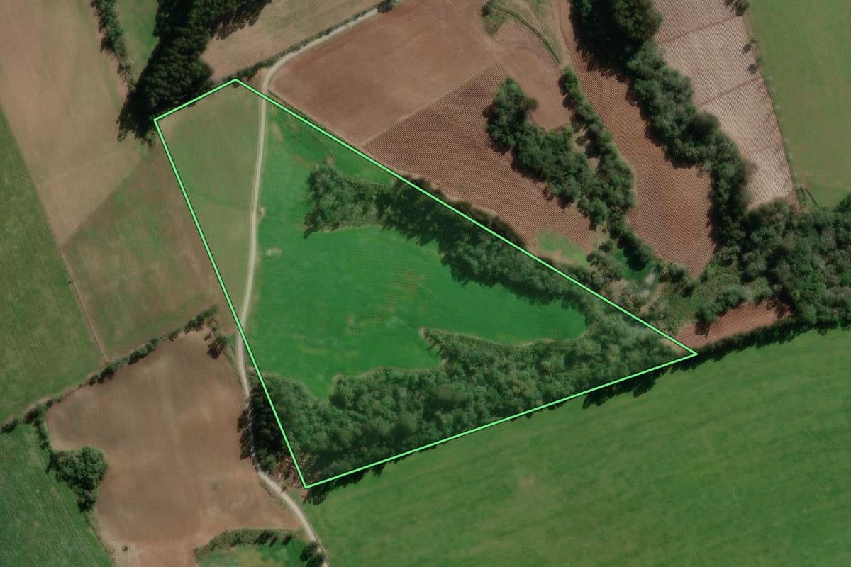 Imagem de satélite do imóvel rural em Bela Vista do Toldo (SC), com o contorno declarado no CAR desenhado por cima.