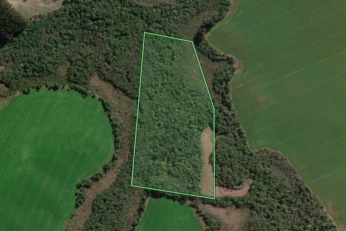 Imagem de satélite do imóvel rural em Bela Vista do Toldo (SC), com o contorno declarado no CAR desenhado por cima.
