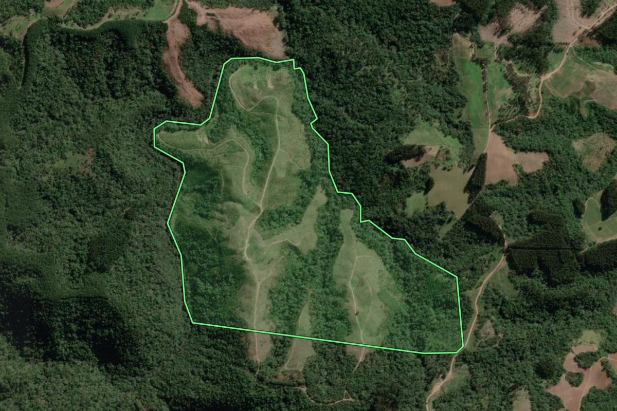 Imagem de satélite do imóvel rural em Bela Vista do Toldo (SC), com o contorno declarado no CAR desenhado por cima.