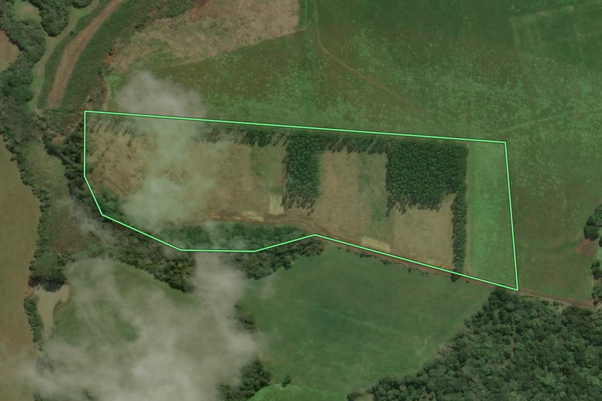 Imagem de satélite do imóvel rural em Bela Vista do Toldo (SC), com o contorno declarado no CAR desenhado por cima.