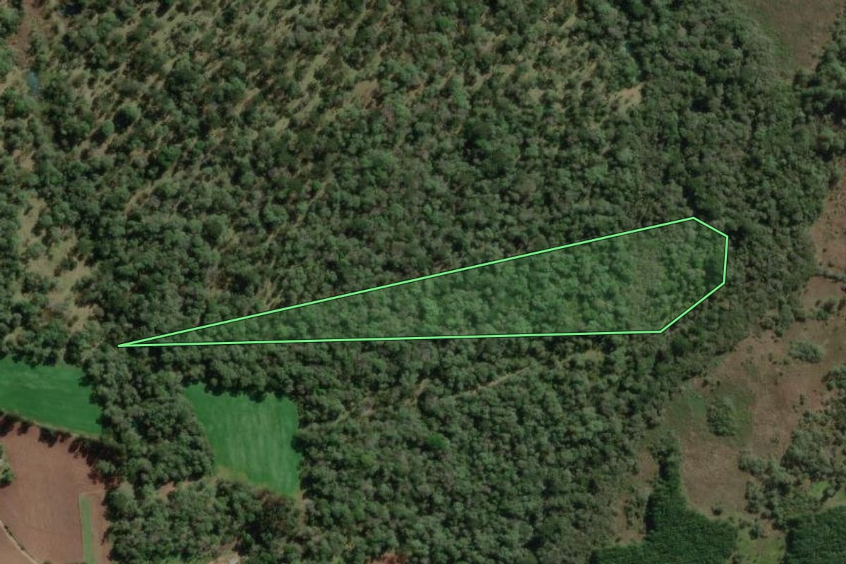 Imagem de satélite do imóvel rural em Bela Vista do Toldo (SC), com o contorno declarado no CAR desenhado por cima.