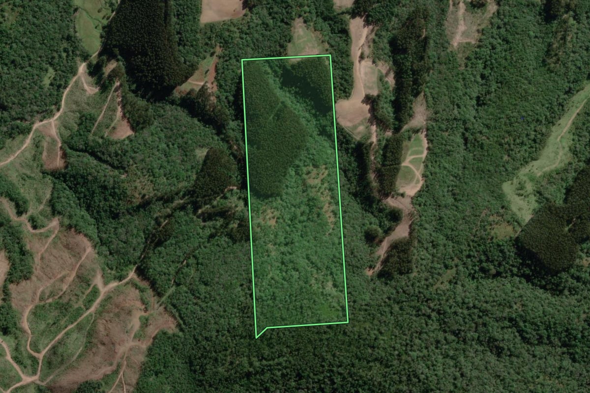 Imagem de satélite do imóvel rural em Bela Vista do Toldo (SC), com o contorno declarado no CAR desenhado por cima.