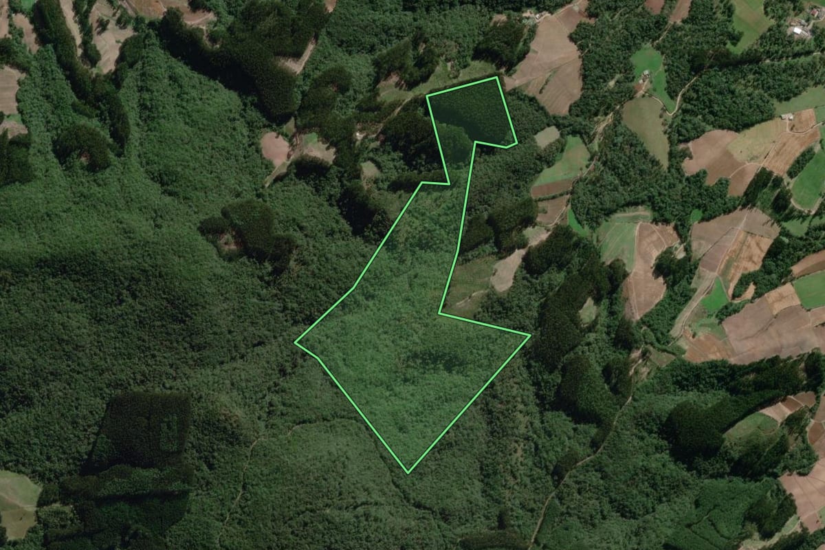 Imagem de satélite do imóvel rural em Bela Vista do Toldo (SC), com o contorno declarado no CAR desenhado por cima.