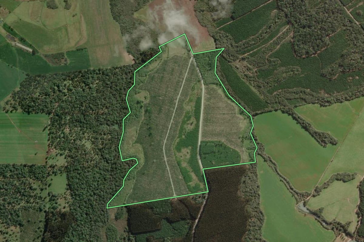 Imagem de satélite do imóvel rural em Bela Vista do Toldo (SC), com o contorno declarado no CAR desenhado por cima.