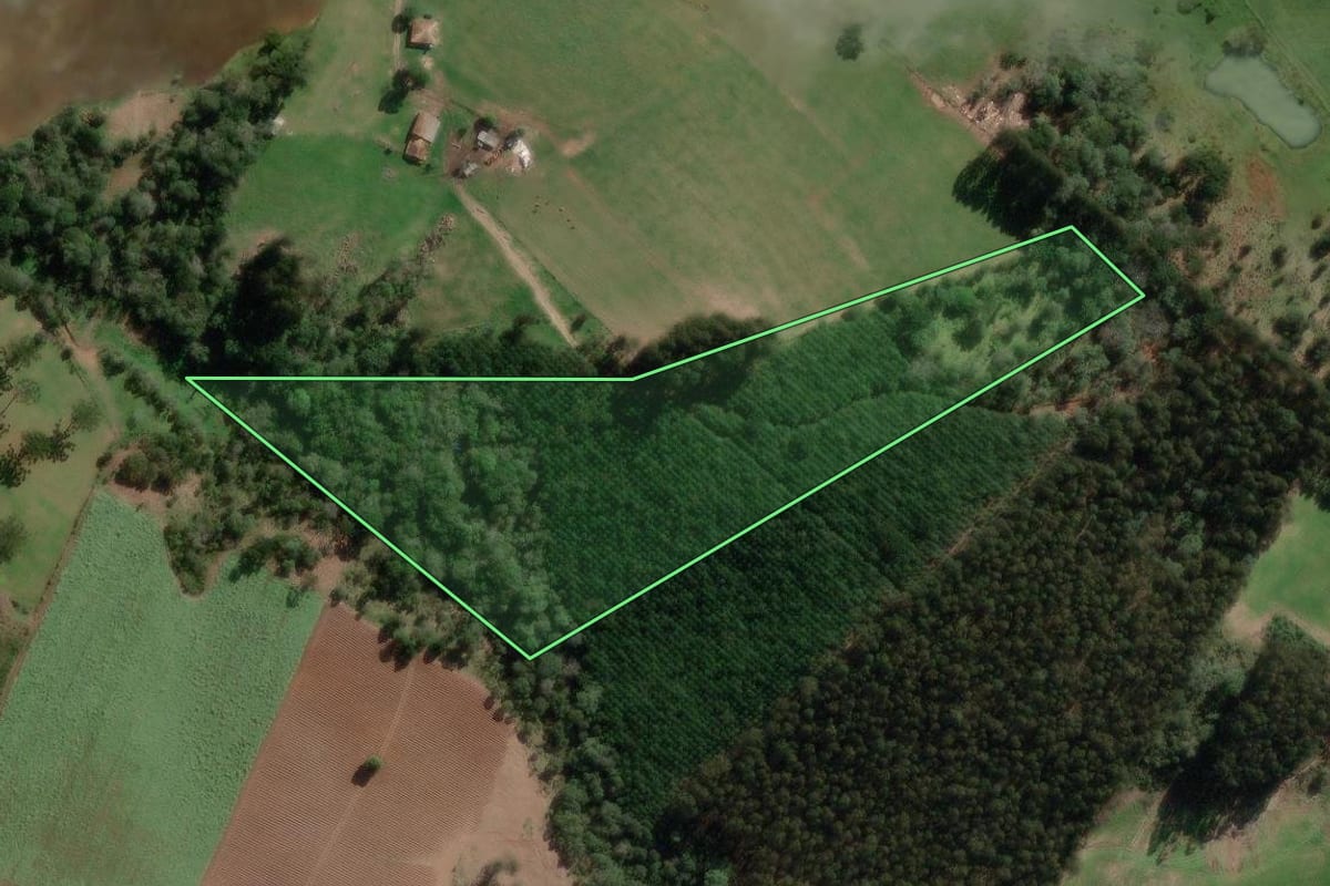 Imagem de satélite do imóvel rural em Bela Vista do Toldo (SC), com o contorno declarado no CAR desenhado por cima.