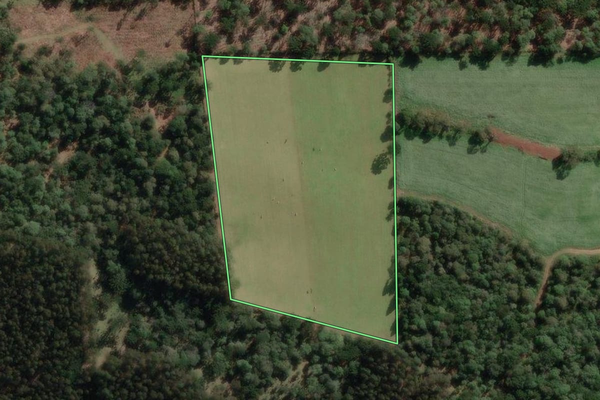 Imagem de satélite do imóvel rural em Bela Vista do Toldo (SC), com o contorno declarado no CAR desenhado por cima.
