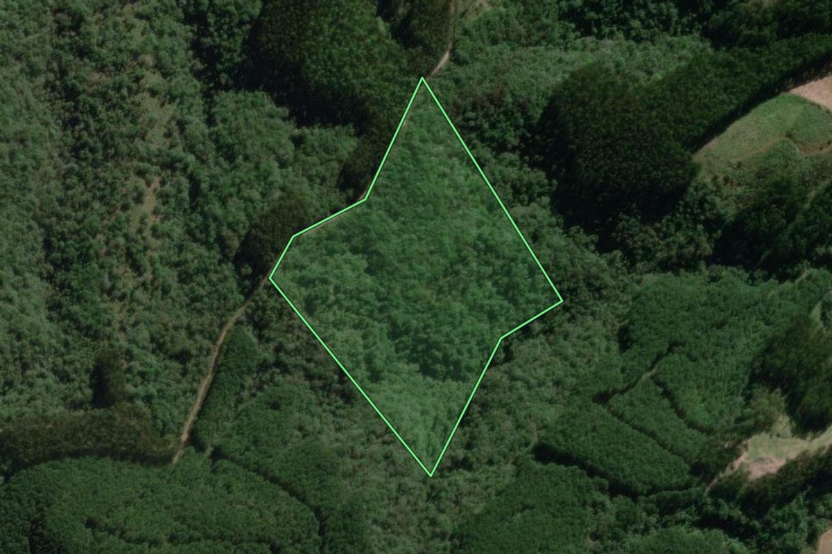 Imagem de satélite do imóvel rural em Bela Vista do Toldo (SC), com o contorno declarado no CAR desenhado por cima.
