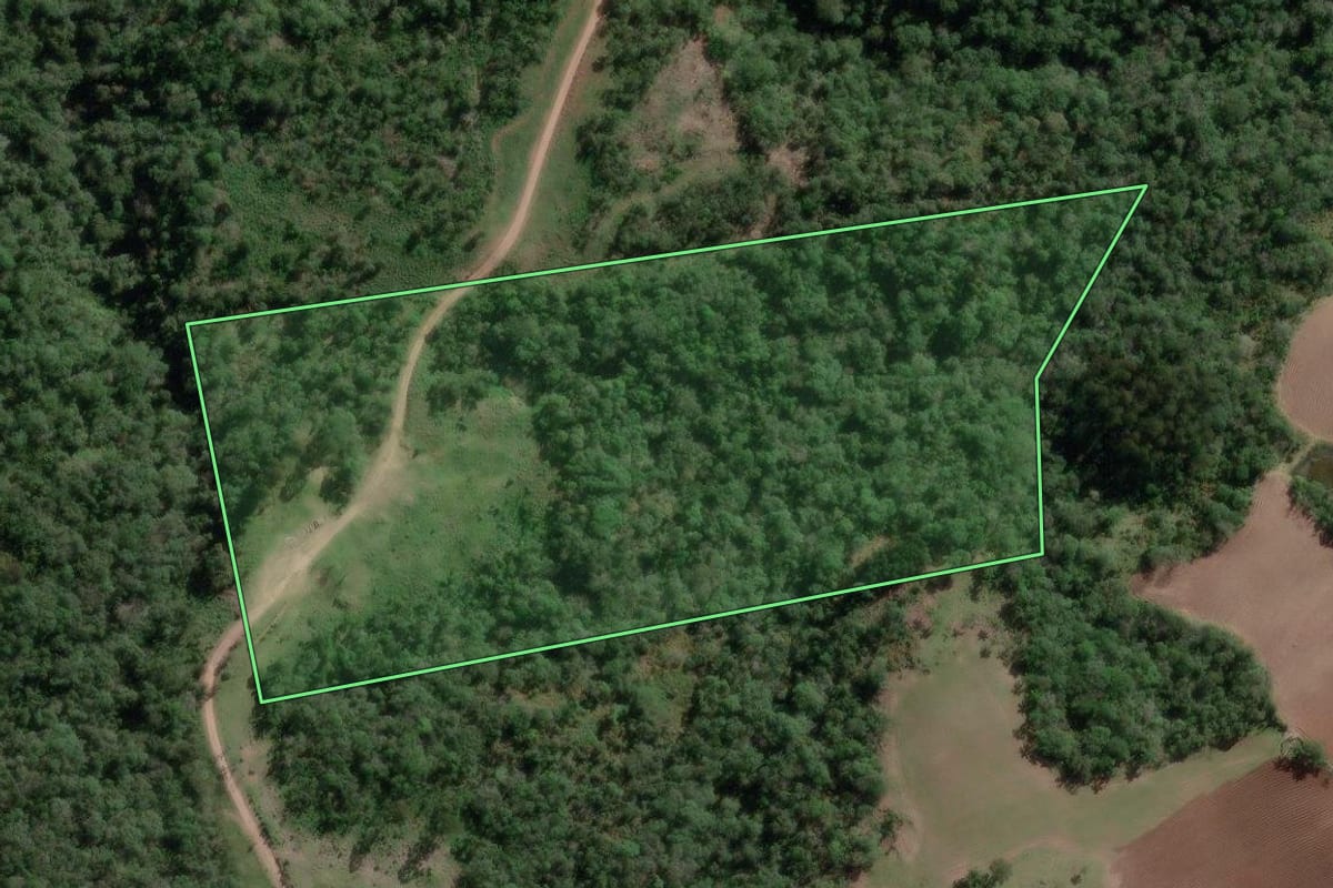 Imagem de satélite do imóvel rural em Bela Vista do Toldo (SC), com o contorno declarado no CAR desenhado por cima.