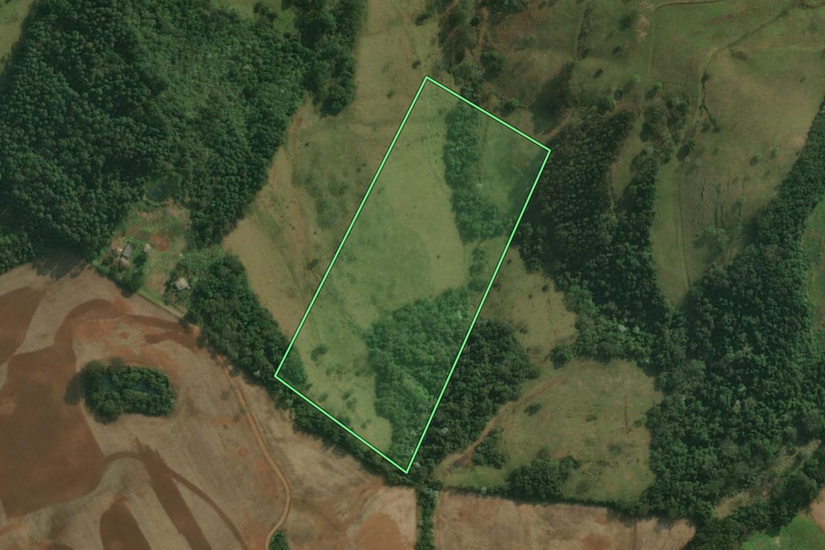 Imagem de satélite do imóvel rural em Belmonte (SC), com o contorno declarado no CAR desenhado por cima.