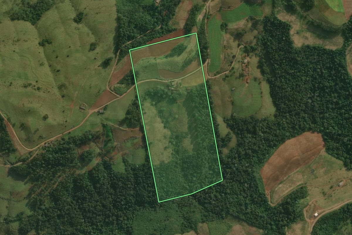 Imagem de satélite do imóvel rural em Belmonte (SC), com o contorno declarado no CAR desenhado por cima.