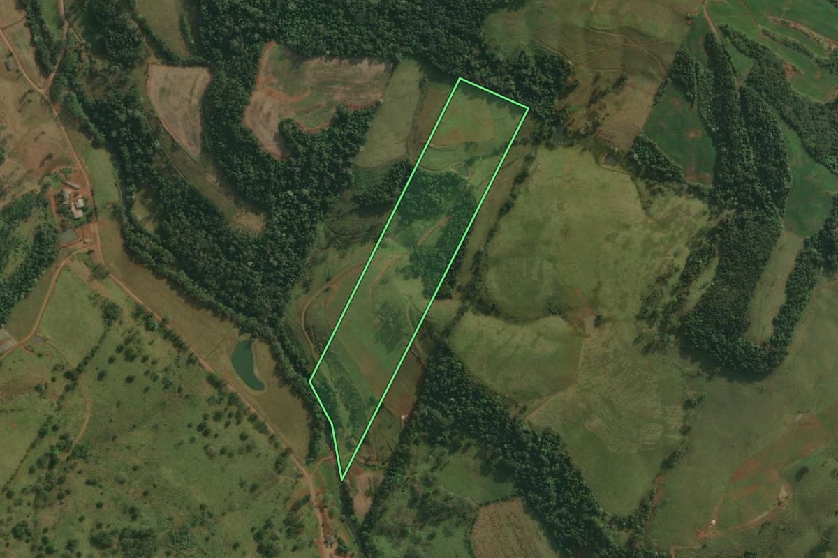 Imagem de satélite do imóvel rural em Belmonte (SC), com o contorno declarado no CAR desenhado por cima.