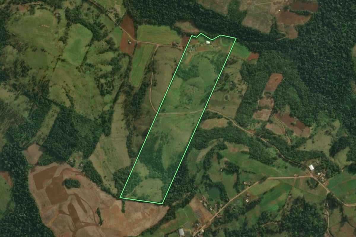 Imagem de satélite do imóvel rural em Belmonte (SC), com o contorno declarado no CAR desenhado por cima.
