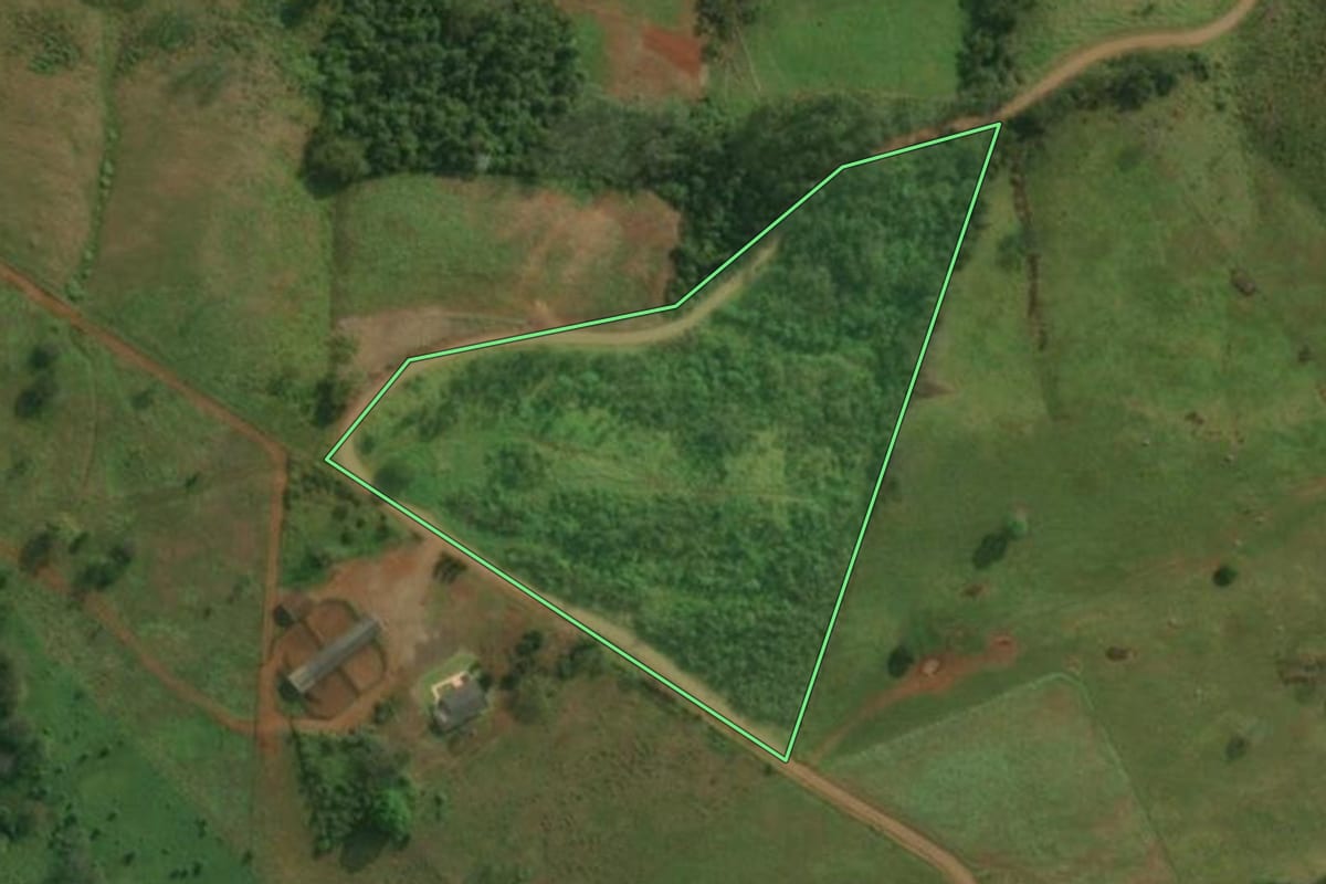 Imagem de satélite do imóvel rural em Belmonte (SC), com o contorno declarado no CAR desenhado por cima.