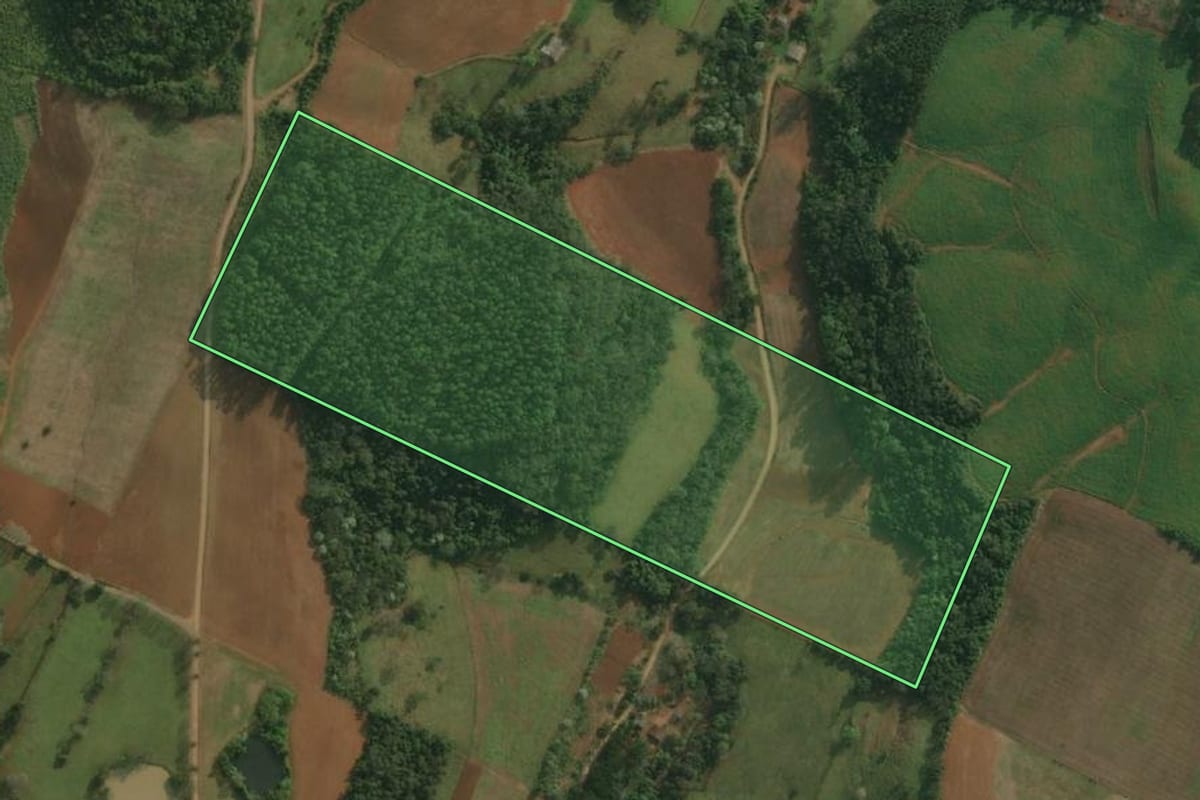 Imagem de satélite do imóvel rural em Belmonte (SC), com o contorno declarado no CAR desenhado por cima.