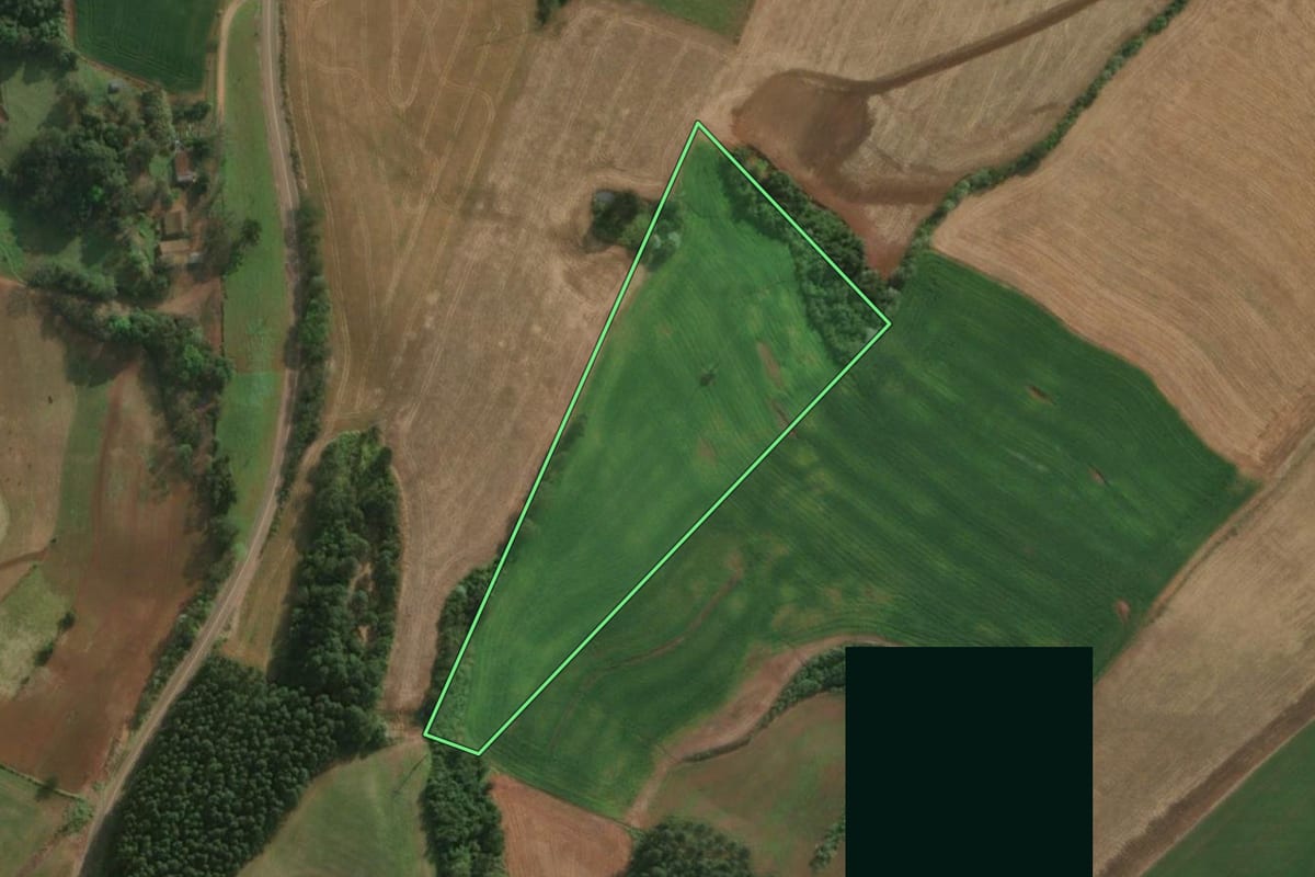Imagem de satélite do imóvel rural em Belmonte (SC), com o contorno declarado no CAR desenhado por cima.