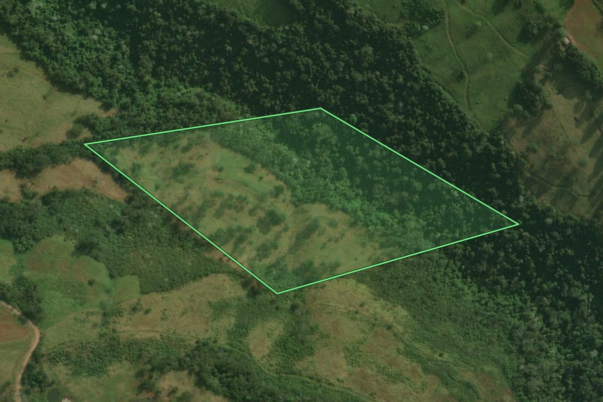 Imagem de satélite do imóvel rural em Belmonte (SC), com o contorno declarado no CAR desenhado por cima.