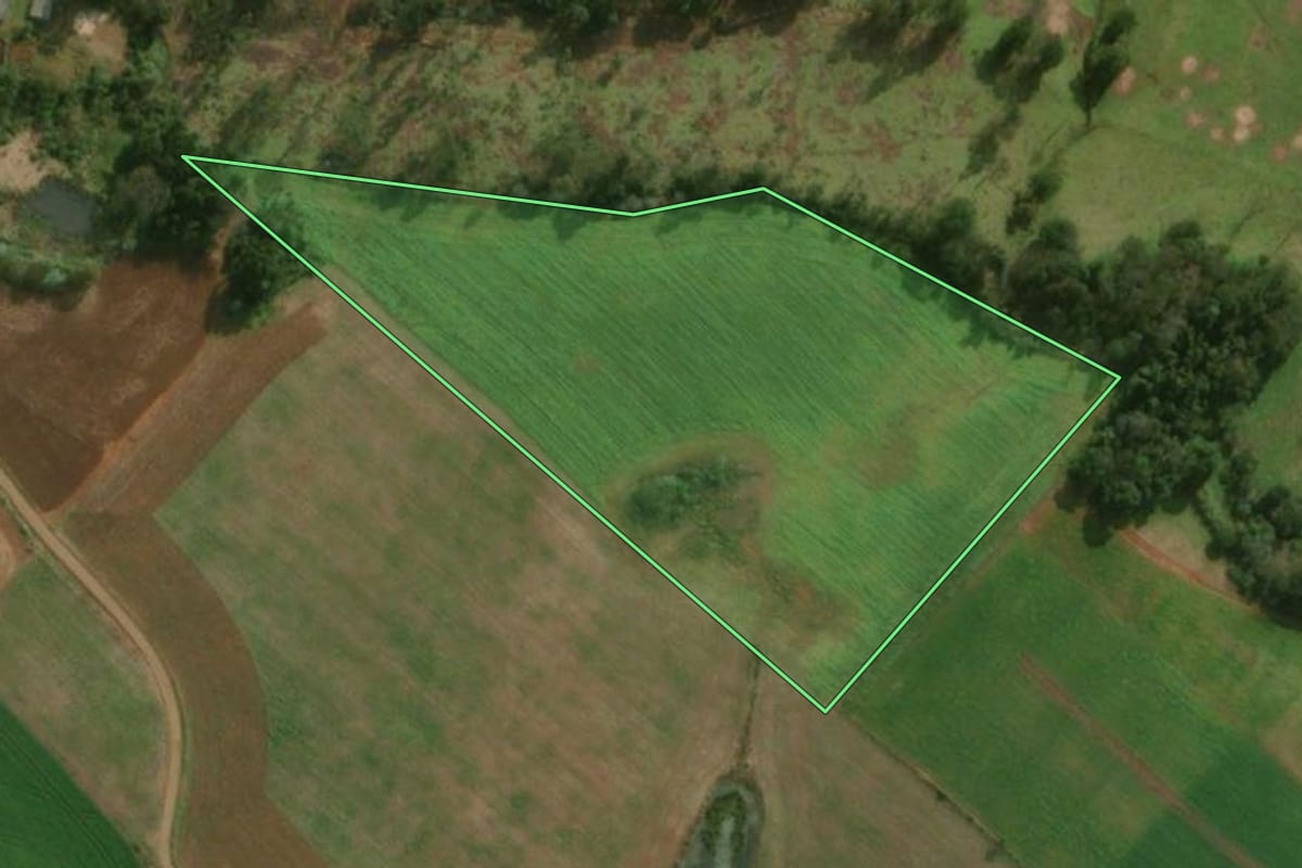 Imagem de satélite do imóvel rural em Belmonte (SC), com o contorno declarado no CAR desenhado por cima.