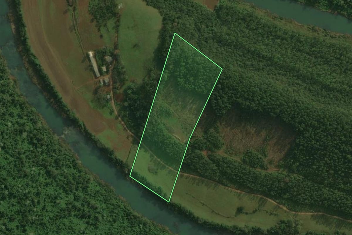 Imagem de satélite do imóvel rural em Belmonte (SC), com o contorno declarado no CAR desenhado por cima.