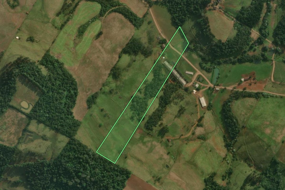 Imagem de satélite do imóvel rural em Belmonte (SC), com o contorno declarado no CAR desenhado por cima.