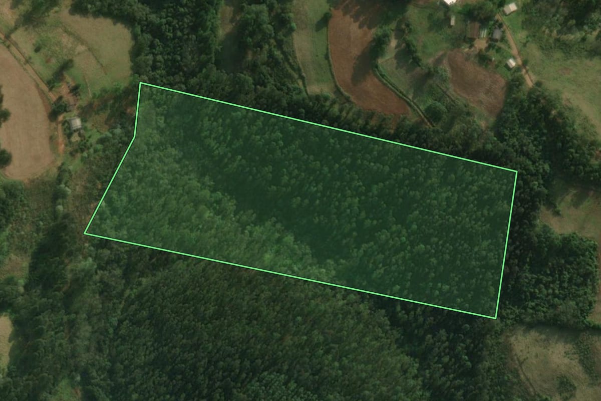 Imagem de satélite do imóvel rural em Belmonte (SC), com o contorno declarado no CAR desenhado por cima.