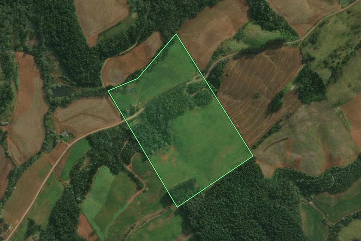 Imagem de satélite do imóvel rural em Belmonte (SC), com o contorno declarado no CAR desenhado por cima.