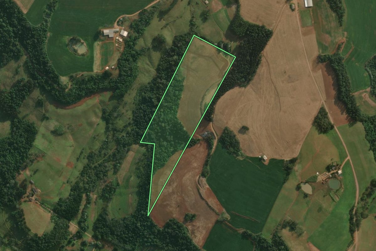 Imagem de satélite do imóvel rural em Belmonte (SC), com o contorno declarado no CAR desenhado por cima.